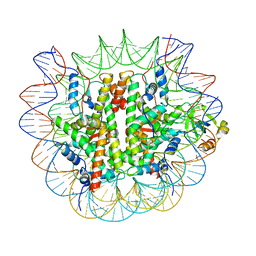 AU of 7pgw by Molmil