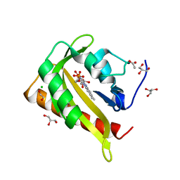 BU of 7ph0 by Molmil