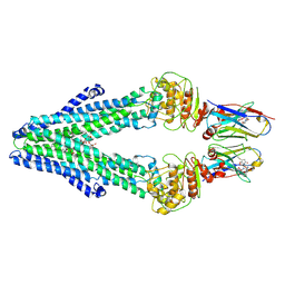 BU of 7ph2 by Molmil