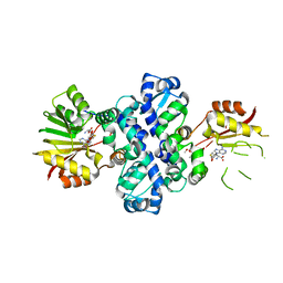 BU of 7phf by Molmil