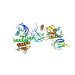 BU of 7pi4 by Molmil