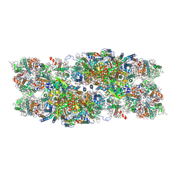 BU of 7pi5 by Molmil