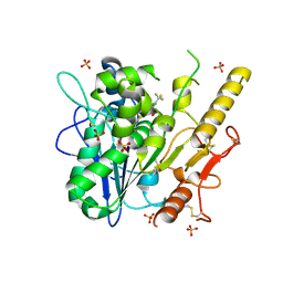 BU of 7pkv by Molmil