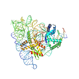 BU of 7pla by Molmil