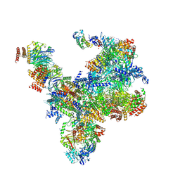 BU of 7pmn by Molmil