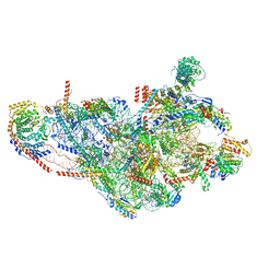 BU of 7po1 by Molmil