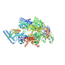 BU of 7pp4 by Molmil