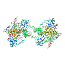 BU of 7pp6 by Molmil