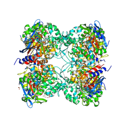 BU of 7pp8 by Molmil