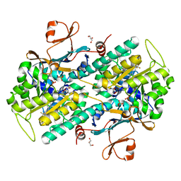 BU of 7pph by Molmil