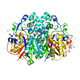 BU of 7pps by Molmil