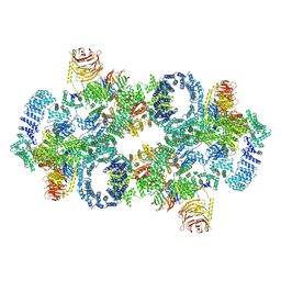 BU of 7pqh by Molmil