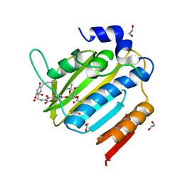 BU of 7pqi by Molmil