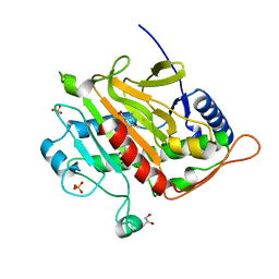 BU of 7psw by Molmil