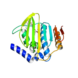 BU of 7ptf by Molmil