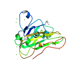 BU of 7pu1 by Molmil