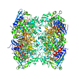 BU of 7pu6 by Molmil