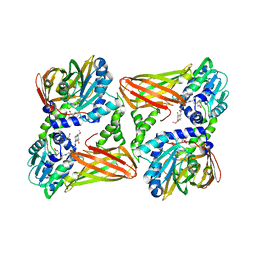 BU of 7pu8 by Molmil