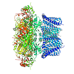 BU of 7pxe by Molmil