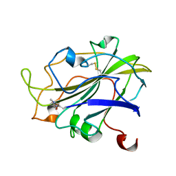 BU of 7pxi by Molmil