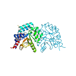 BU of 7q1h by Molmil