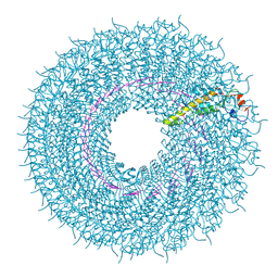 BU of 7q2q by Molmil