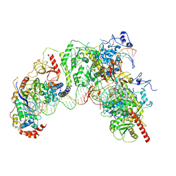 BU of 7q5b by Molmil