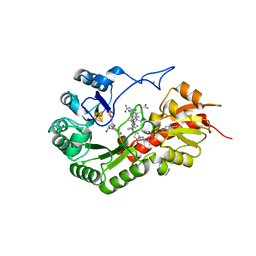 BU of 7qbv by Molmil