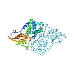 BU of 7qd0 by Molmil