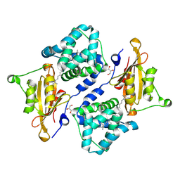 BU of 7qd2 by Molmil