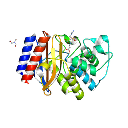 BU of 7qlp by Molmil