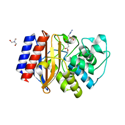 BU of 7qlp by Molmil