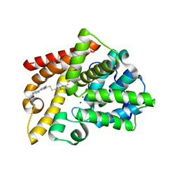 BU of 7qpm by Molmil