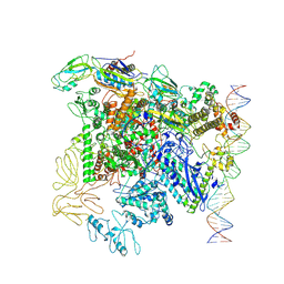 BU of 7qxi by Molmil