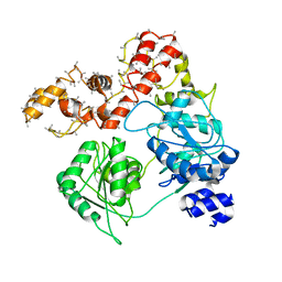 AU of 7ra6 by Molmil