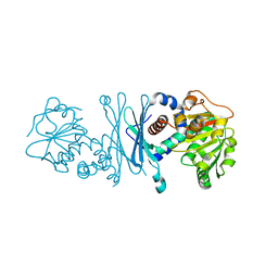 BU of 7rbp by Molmil