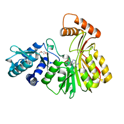 BU of 7rc5 by Molmil