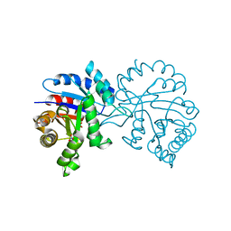 BU of 7rcq by Molmil