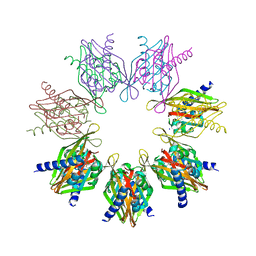 BU of 7rec by Molmil