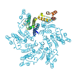 BU of 7rj2 by Molmil