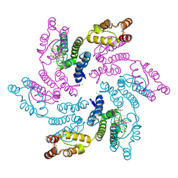 BU of 7rj4 by Molmil