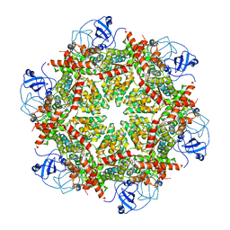 BU of 7rlb by Molmil