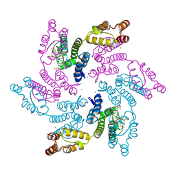 BU of 7rmj by Molmil