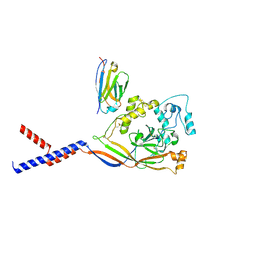 BU of 7rnn by Molmil