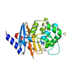 BU of 7rpc by Molmil