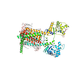 BU of 7rpi by Molmil