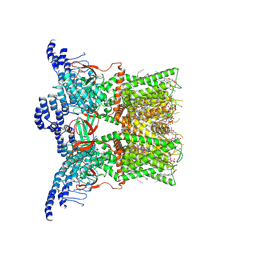 BU of 7rqu by Molmil