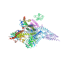 BU of 7rtk by Molmil