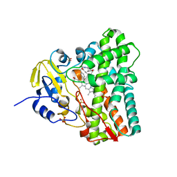 AU of 7ruk by Molmil