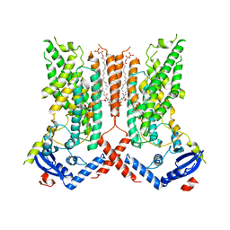 BU of 7rxb by Molmil